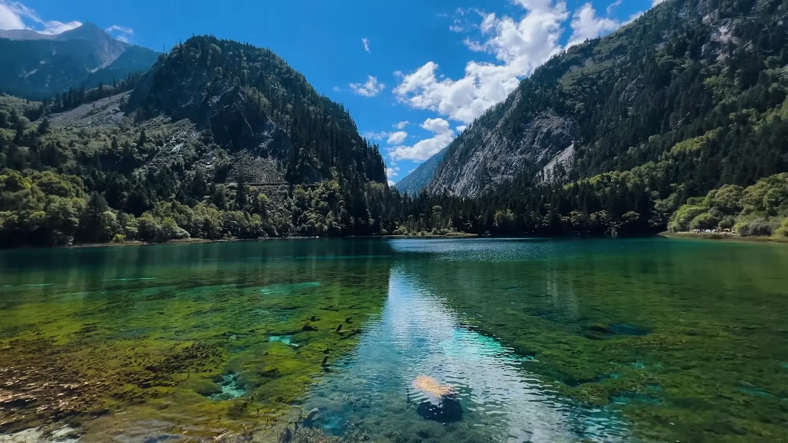 Exploring the Majestic Jiuzhaigou Valley: A Comprehensive Travel Guide