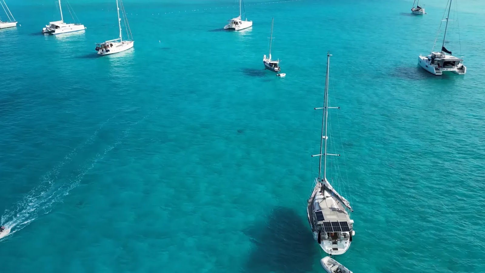 Epic Sailing Adventure to St. Martin: Battling Blown Sails and Whale Encounters