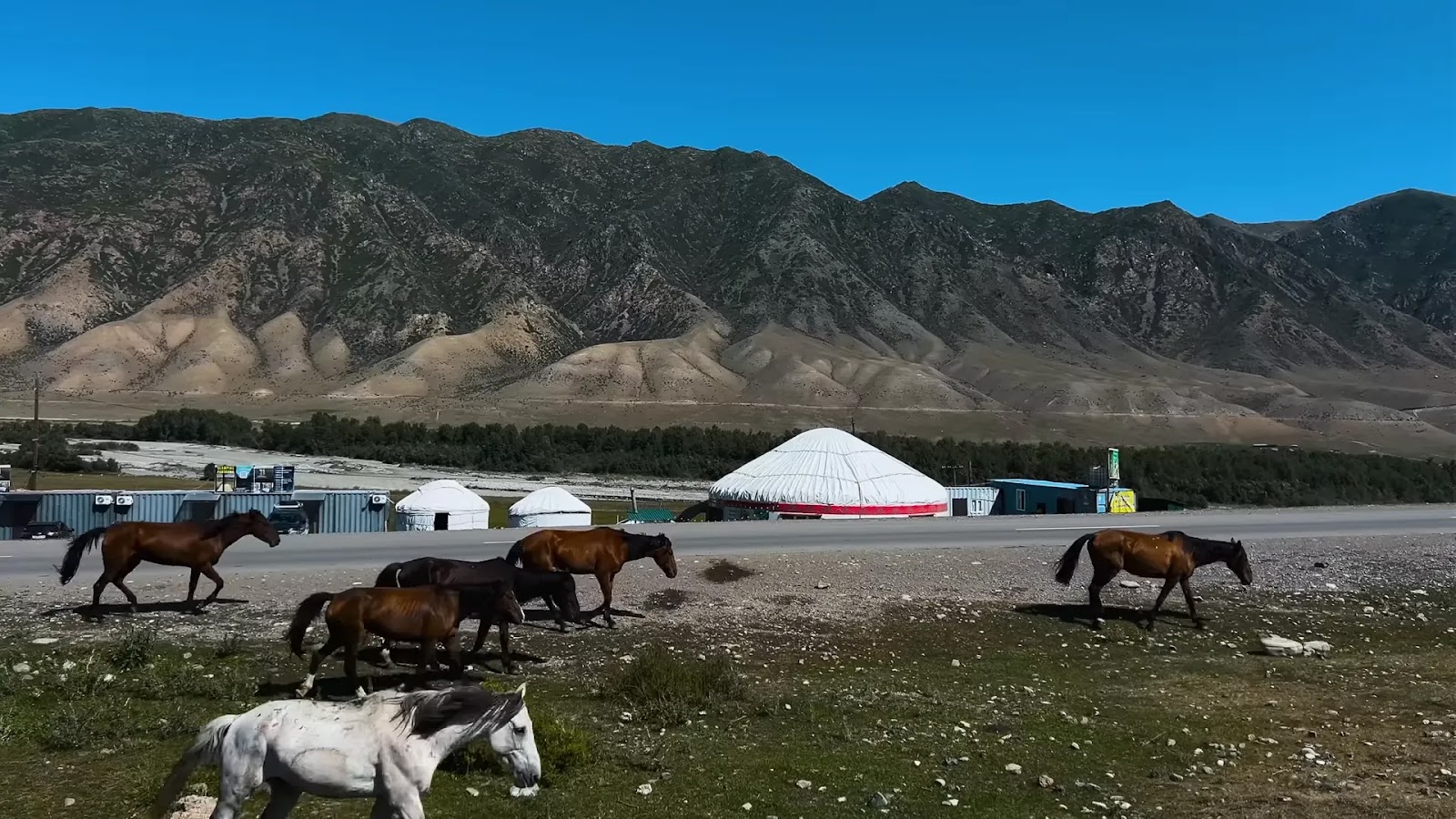 Crossing the Kazakhstan-Kyrgyzstan Border: A Road Trip Adventure