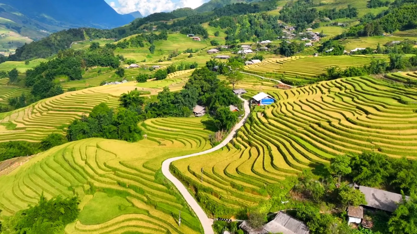 The Ultimate Sapa Vietnam Travel Guide: Budget-Friendly 5-Day Itinerary