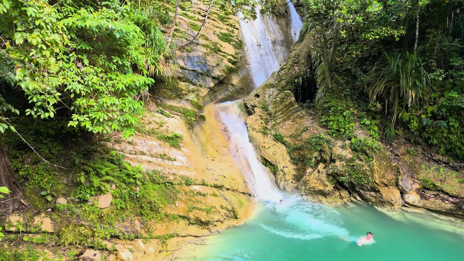 Unveiling Bohol's Hidden Gems: A Tropical Paradise Awaits