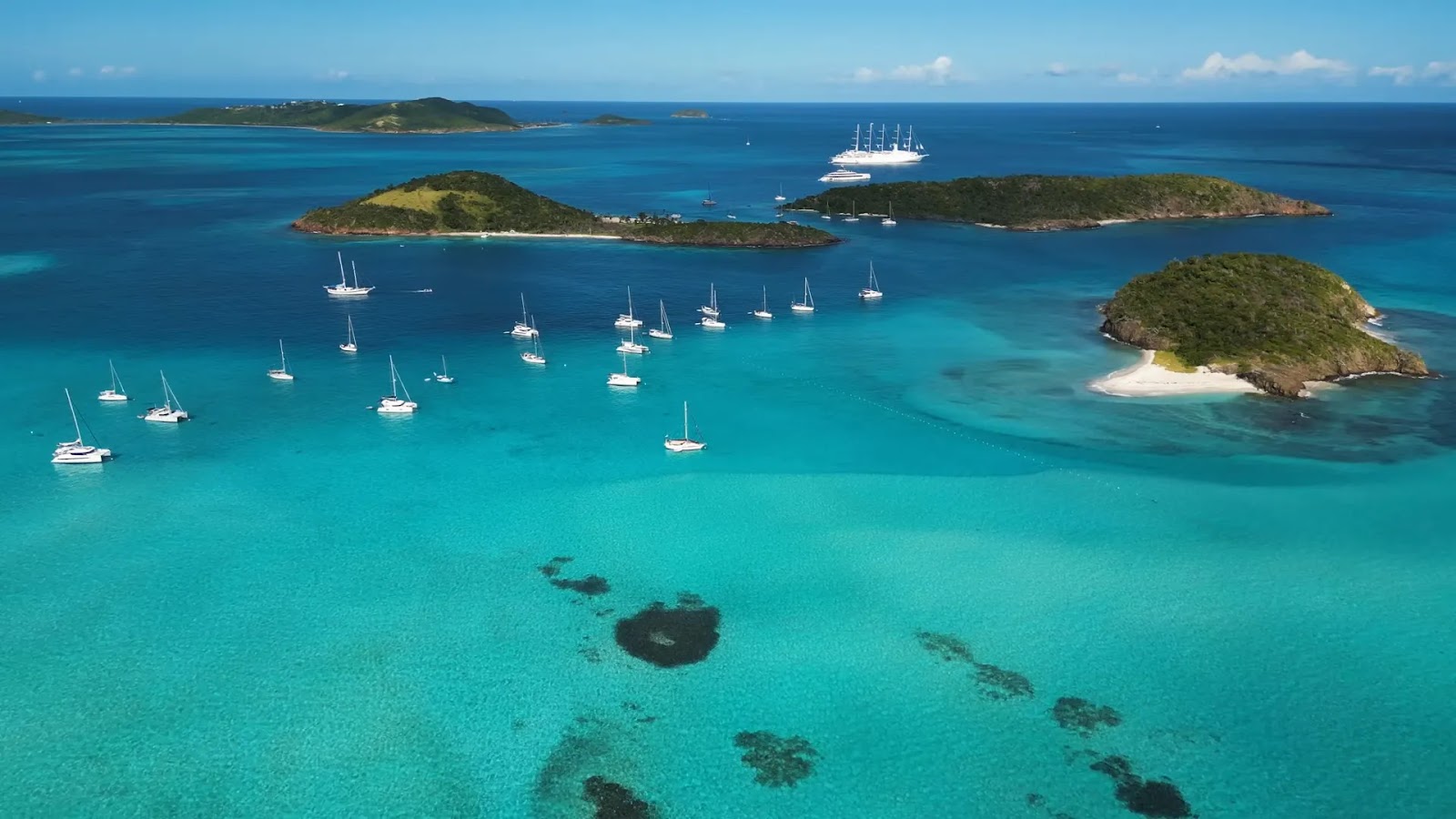 Tobago Cays Paradise: Sailing, Pina Coladas, and Octopus Encounters